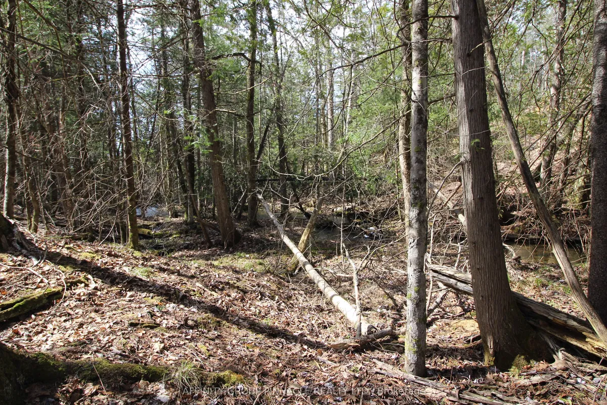 LOT 15 Concession 9 N/A, ON K0L 1J0