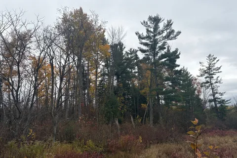 0 Godolphin Road, ON K0K 3K0