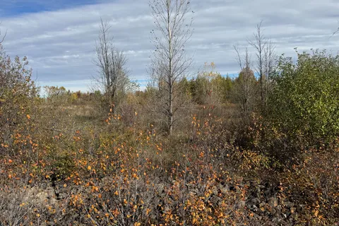 7911 Iveson Drive, ON K0A 2P0