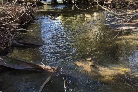 0 Mitchell Road, ON K0K 3K0