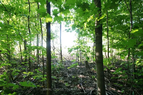 PtLt31 PLEASANT VALLEY Road, ON K0E 1W0