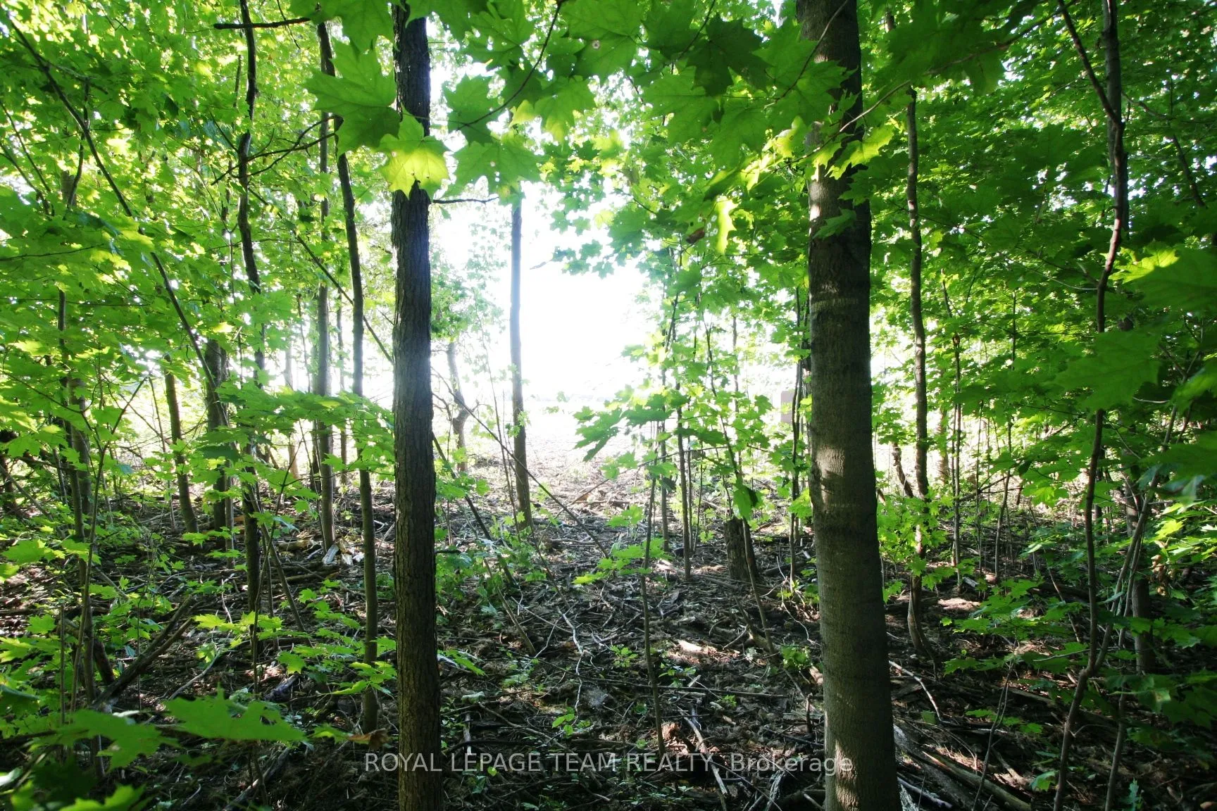 PtLt31 PLEASANT VALLEY Road, ON K0E 1W0