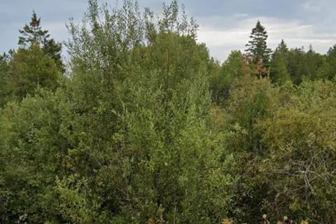 2 Cherry hill Road, ON N0H 1W0