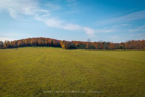 442146 Concession Road 8 N/A, ON N0G 1S0