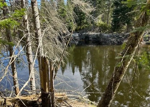 0 County Road 503 N/A, ON K0M 2A1