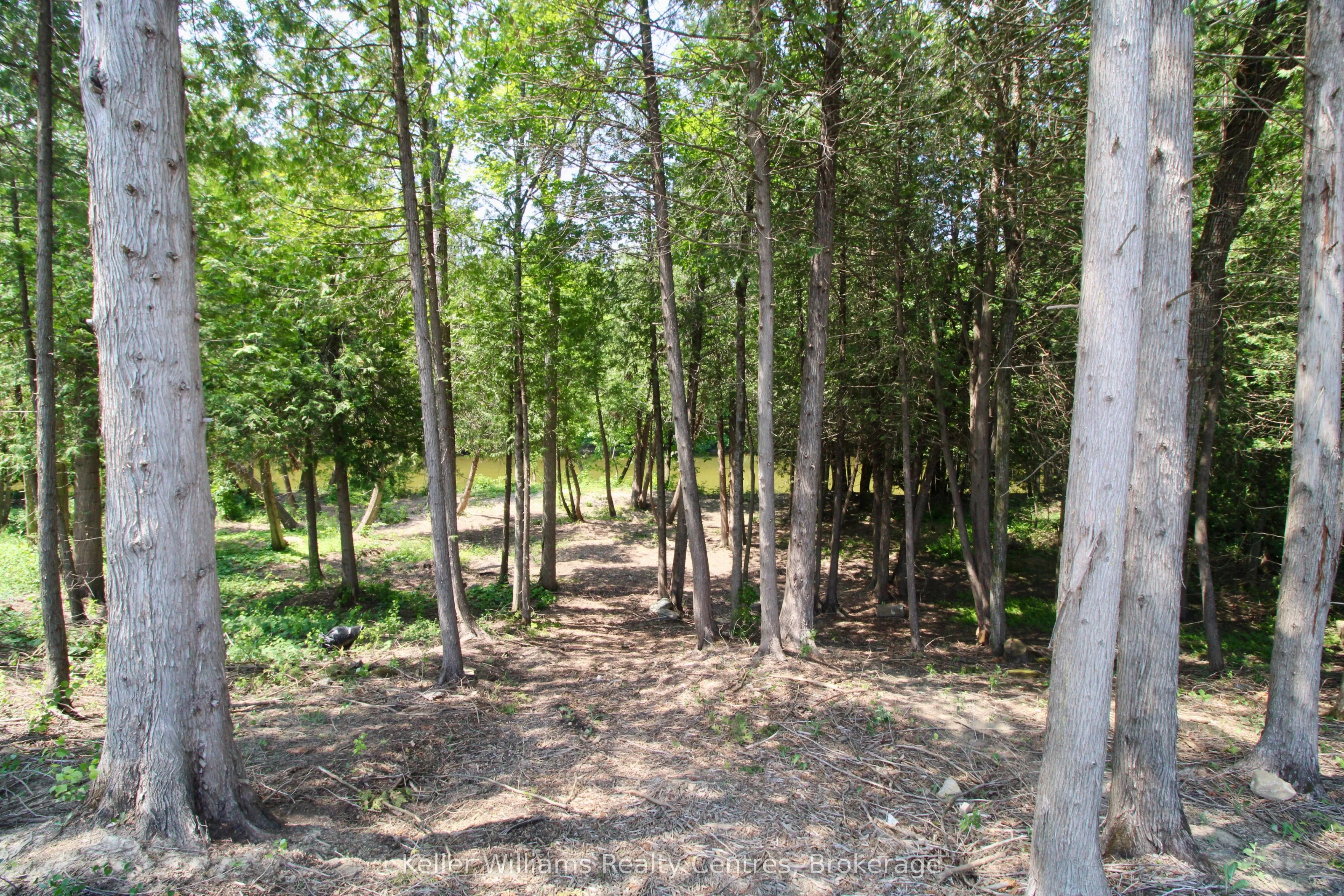 776 20th Street, ON N4N 0C5