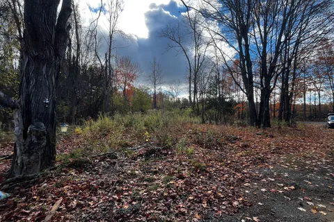 482 Bellamy Road, ON K0A 3L0