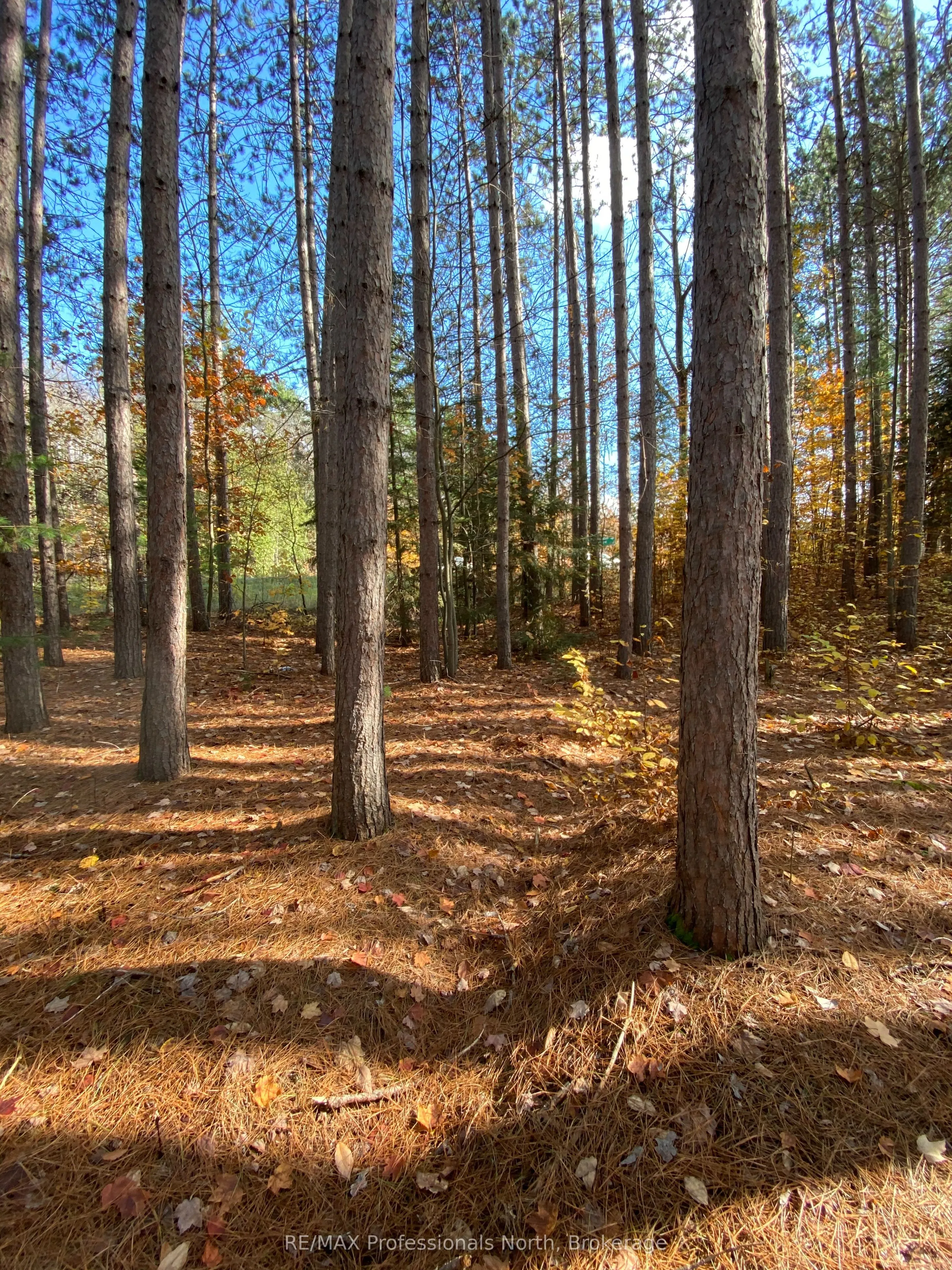 0 Maebar Road, ON K0M 2K0