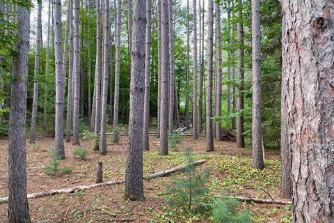 0 Maebar Road, ON K0M 2K0