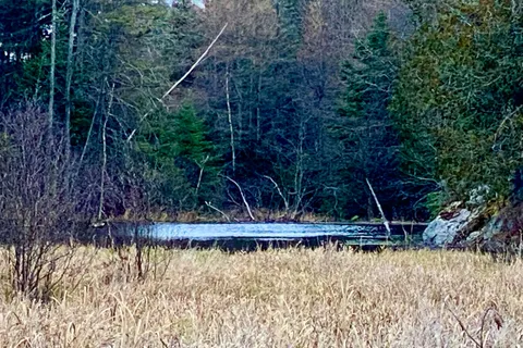 LOT 0-B LEGROU'S LAKE Road, ON P0H 1A0