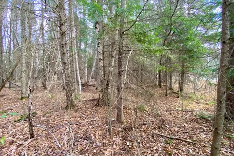 LOT 0-B LEGROU'S LAKE Road, ON P0H 1A0