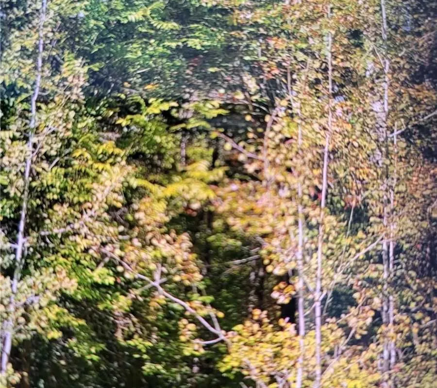 250-400 Lake Road, ON P0M 2W0