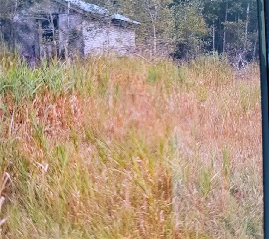 420 Landry Road, ON P0M 2G0