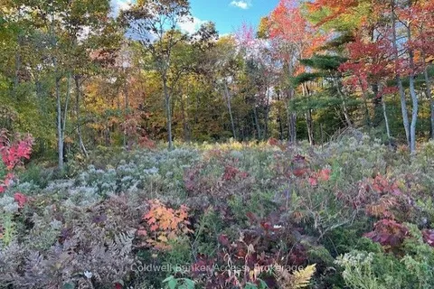 52 Hawkins Point Road, ON P0C 1H0