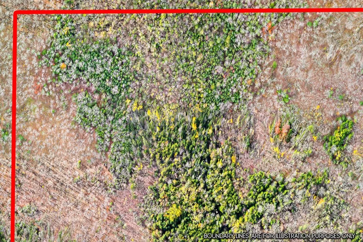 429560 8th B Concession, ON N0C 1M0