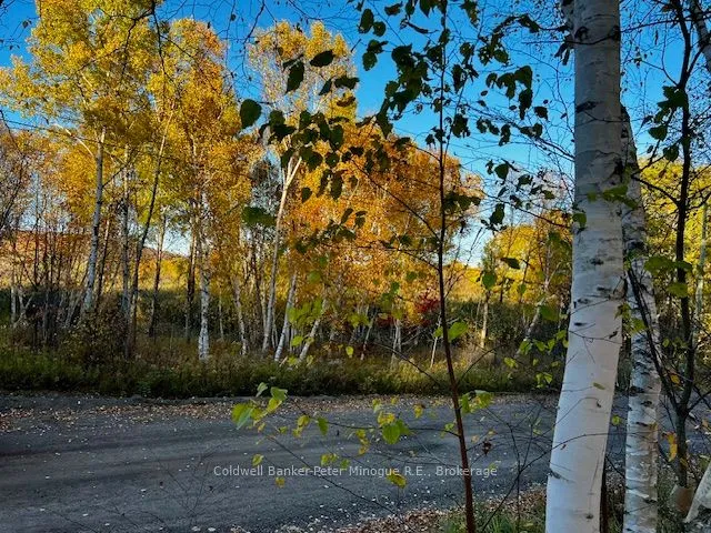 LOT 16 SEYMOUR Street, ON P1B 8Z4