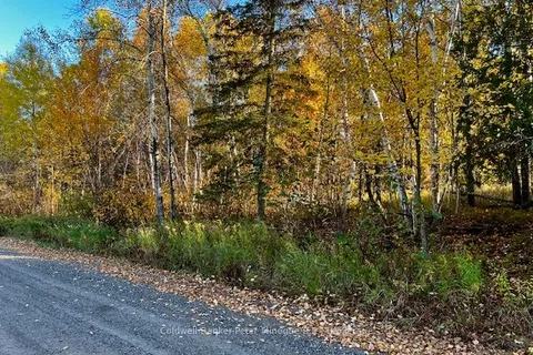 LOT 16 SEYMOUR Street, ON P1B 8Z4