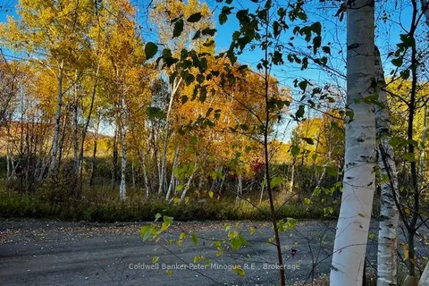 LOT 16 SEYMOUR Street, ON P1B 8Z4