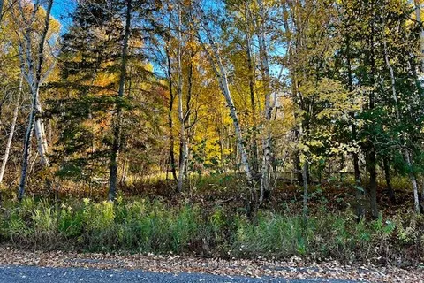 LOT 16 SEYMOUR Street, ON P1B 8Z4