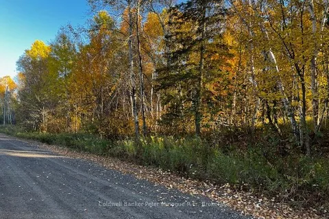 LOT 16 SEYMOUR Street, ON P1B 8Z4