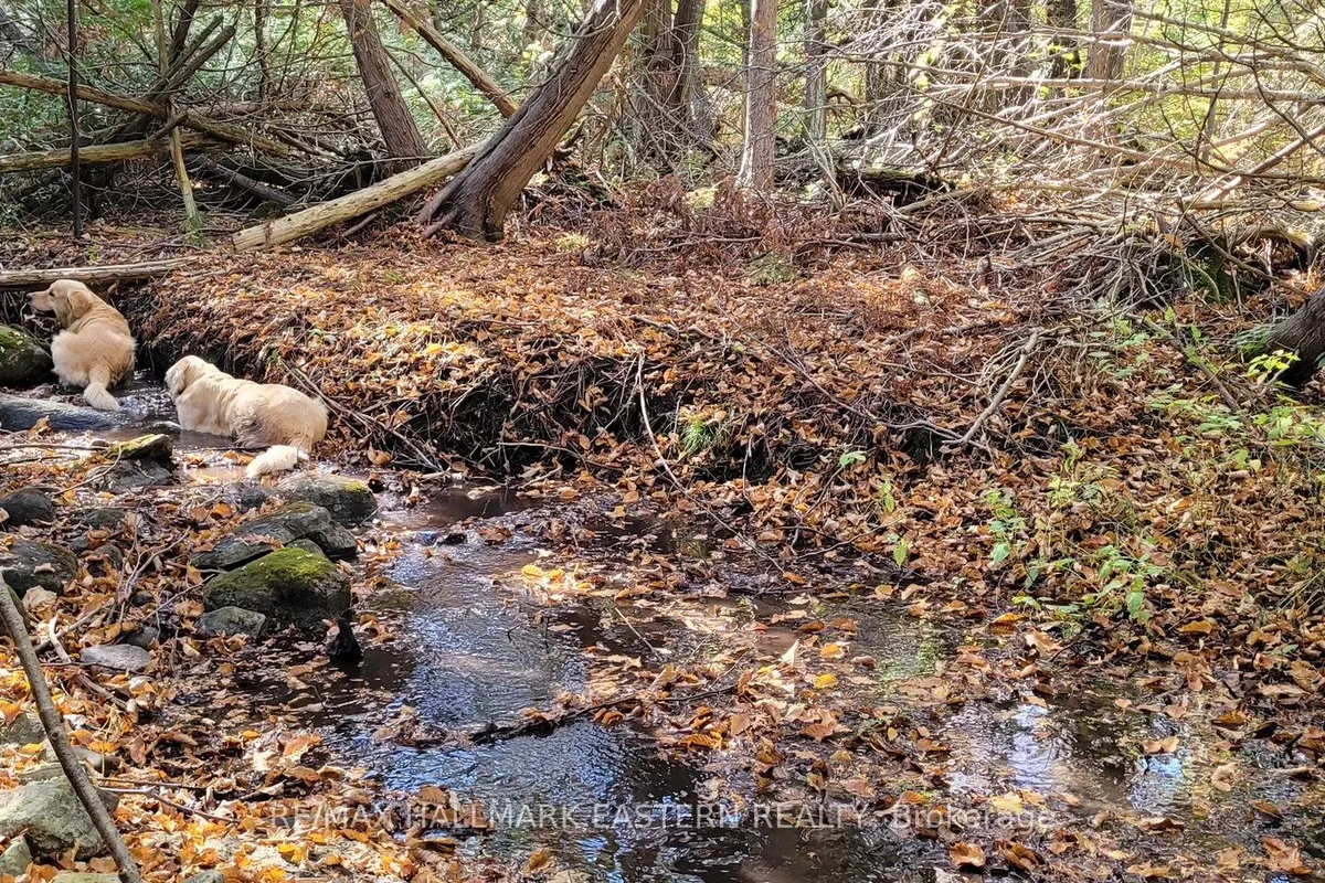 323 Orange Corners Road, ON K0L 2W0