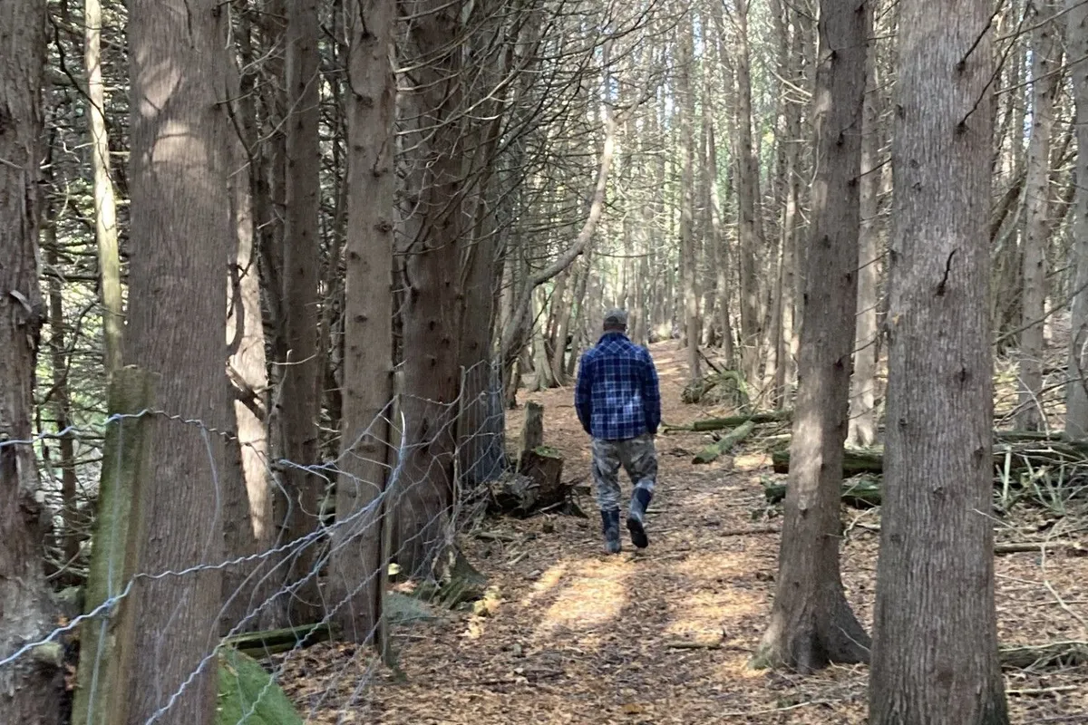 323 Orange Corners Road, ON K0L 2W0