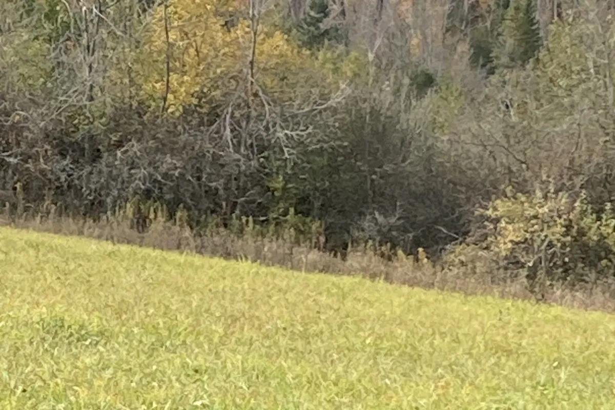 323 Orange Corners Road, ON K0L 2W0