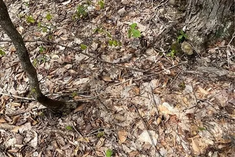 Lot 133 Brennan Circle, ON P1H 2J3