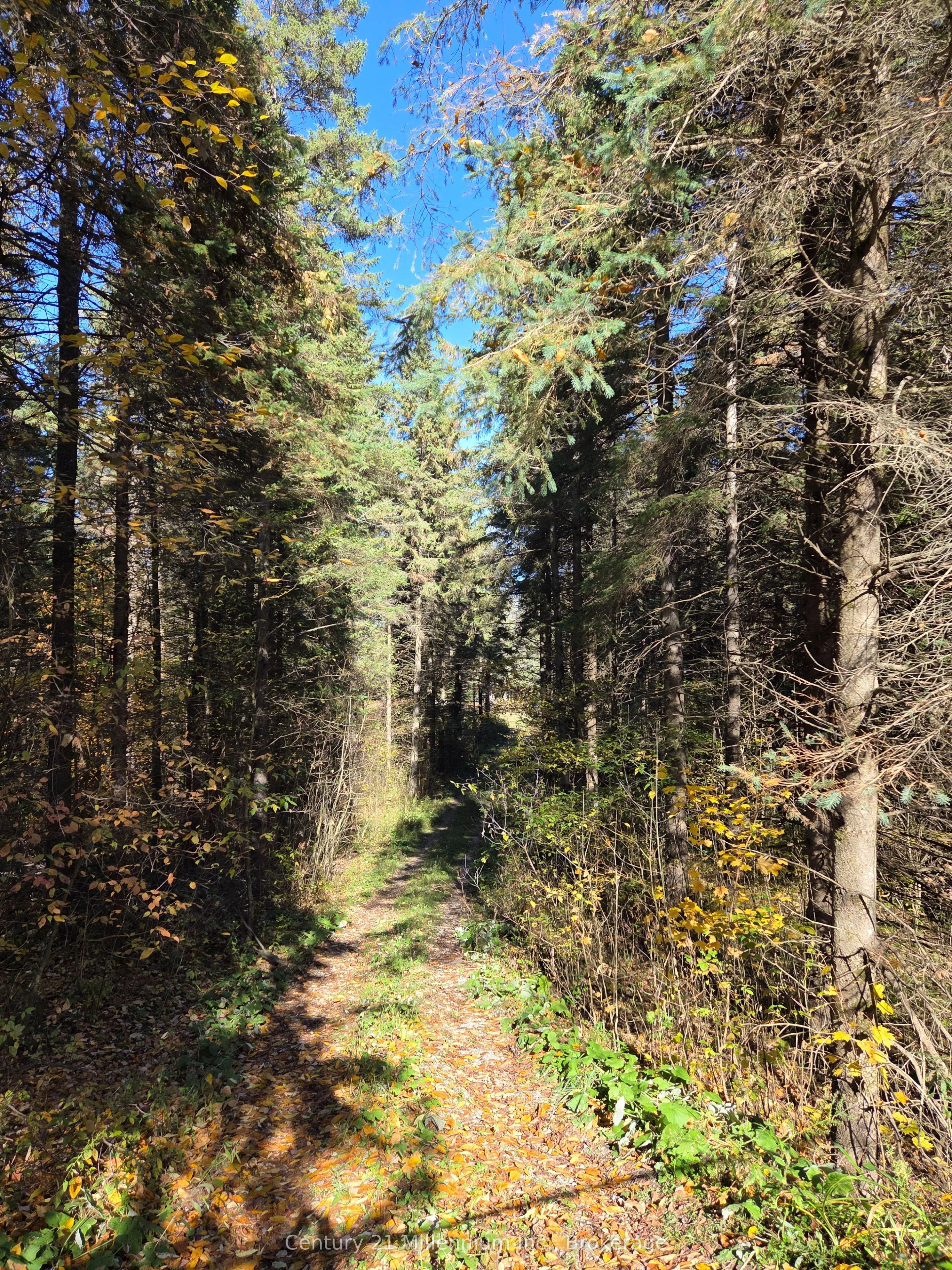 627383 15 Side Road, ON L0N 1M0