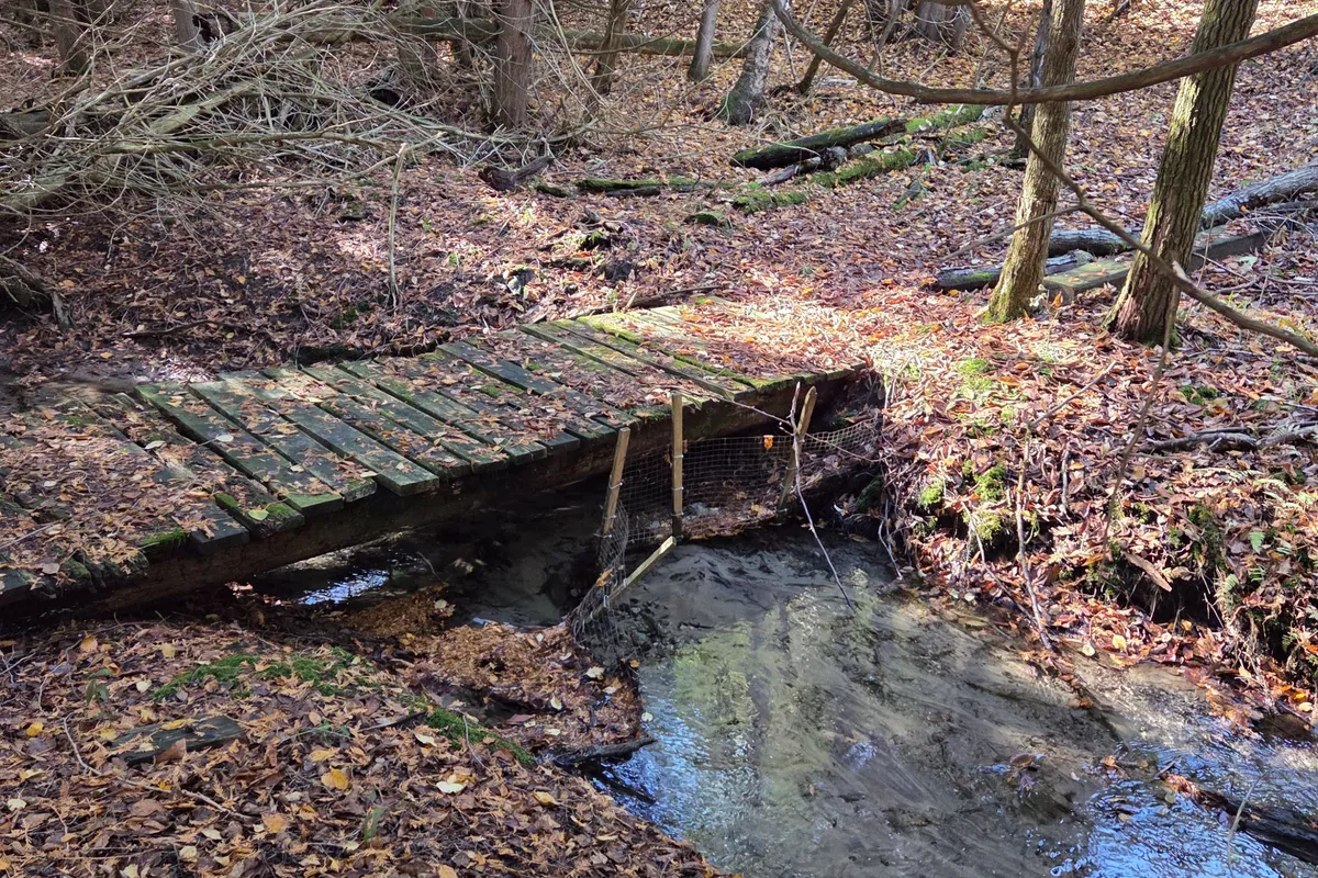 627383 15 Side Road, ON L0N 1M0