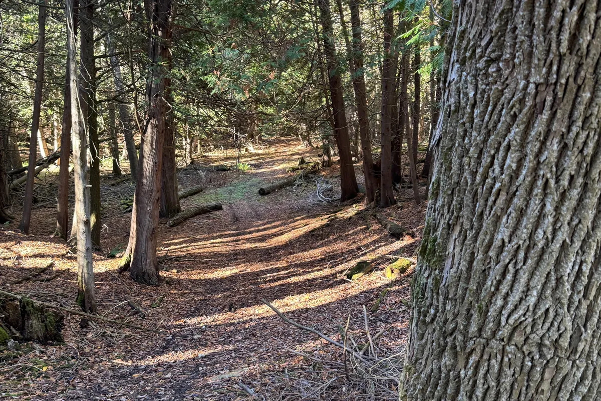 627383 15 Side Road, ON L0N 1M0