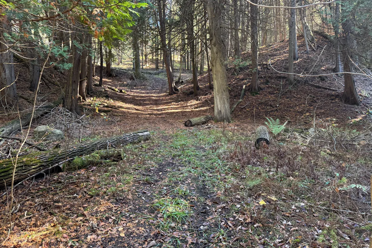 627383 15 Side Road, ON L0N 1M0