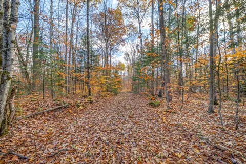 561 White House Road, ON P1H 2J3