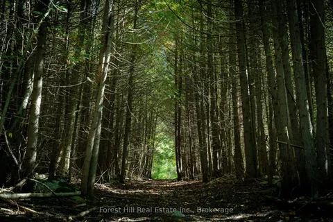 496629 Grey Road 2 N/A, ON N0H 1J0