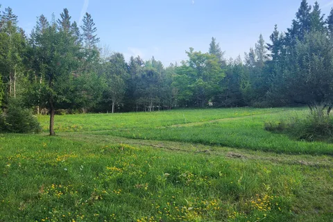 20250 Highway 540 N/A, ON P0P 1H0