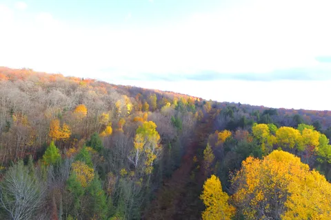 Pt Lt 2 Con 4 McFadden Line, ON P0H 2L0