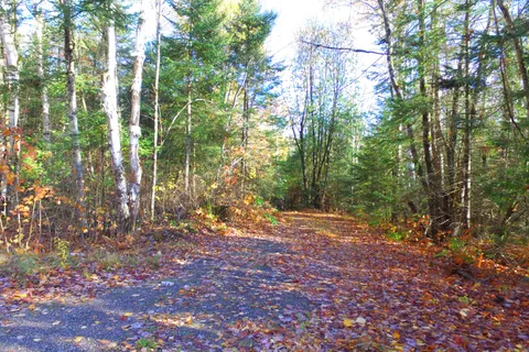 Pt Lt 2 Con 4 McFadden Line, ON P0H 2L0