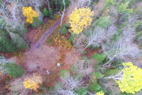 Pt Lt 2 Con 4 McFadden Line, ON P0H 2L0