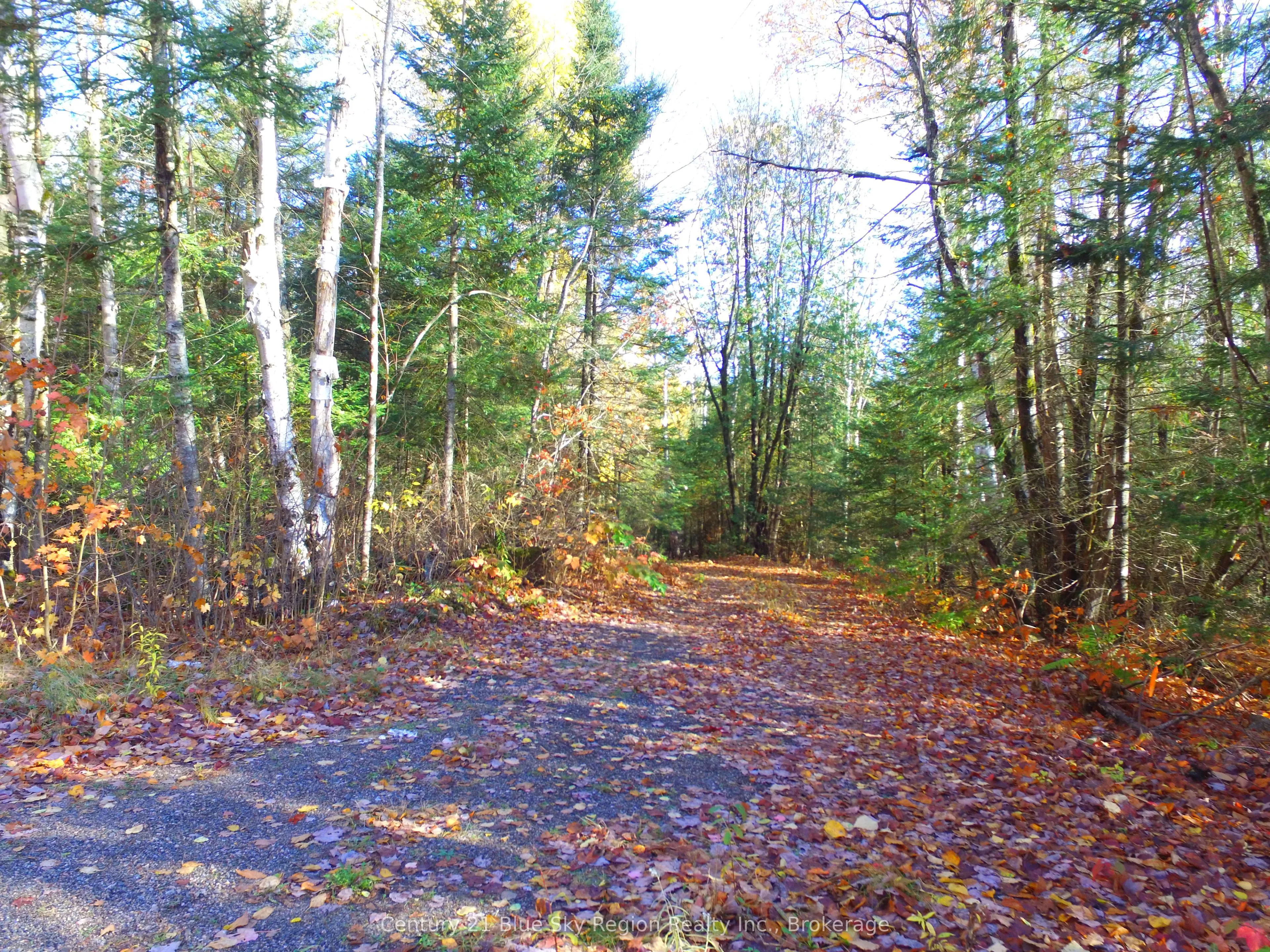 Pt Lt 2 Con 4 McFadden Line, ON P0H 2L0