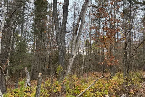 0-2 Bennett Road, ON P0H 1J0