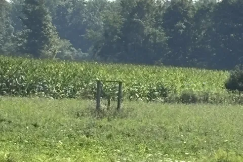 4688 Godby Road, ON N0J 1T0