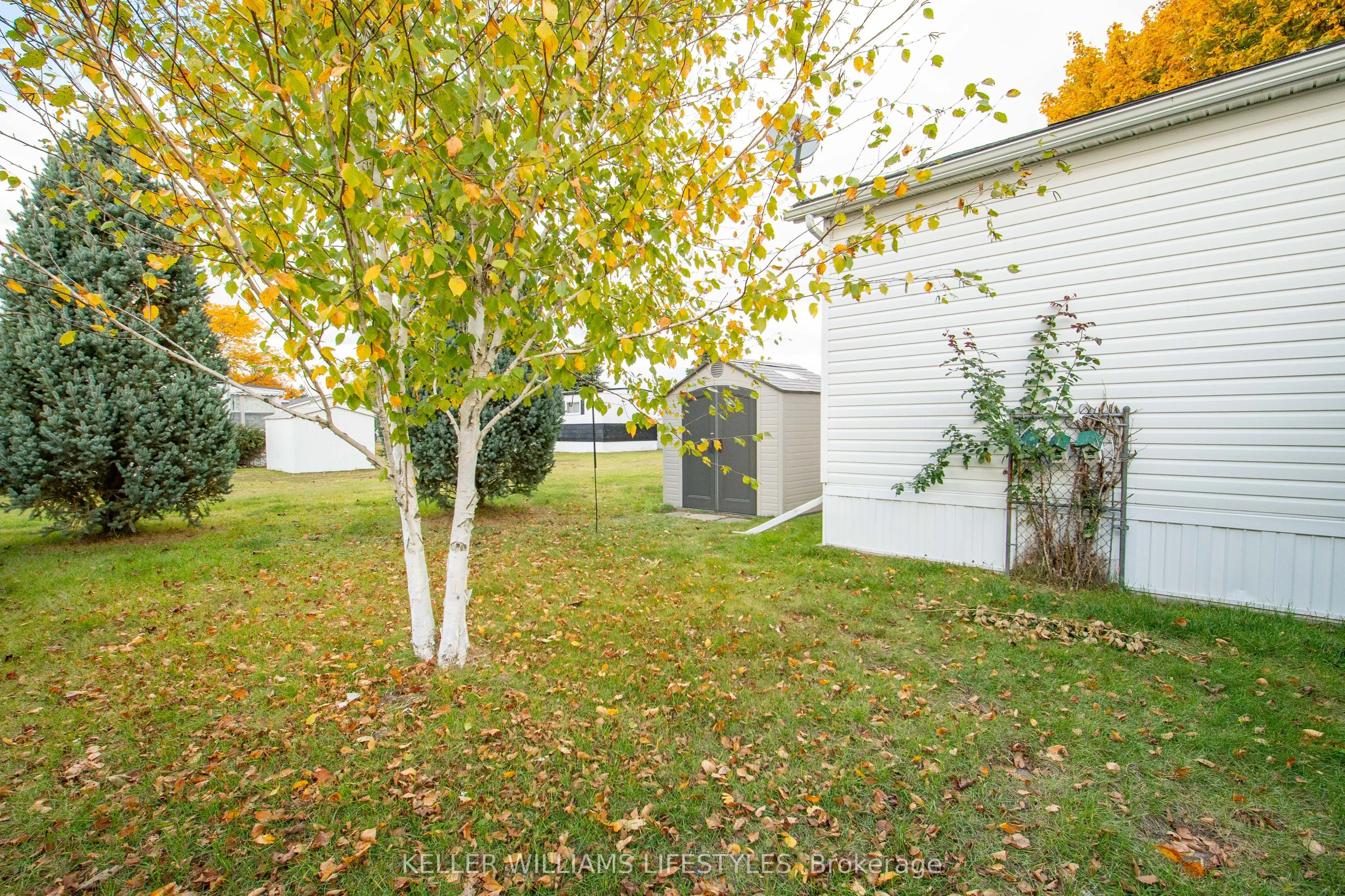 17 George Street, ON N7G 3K9