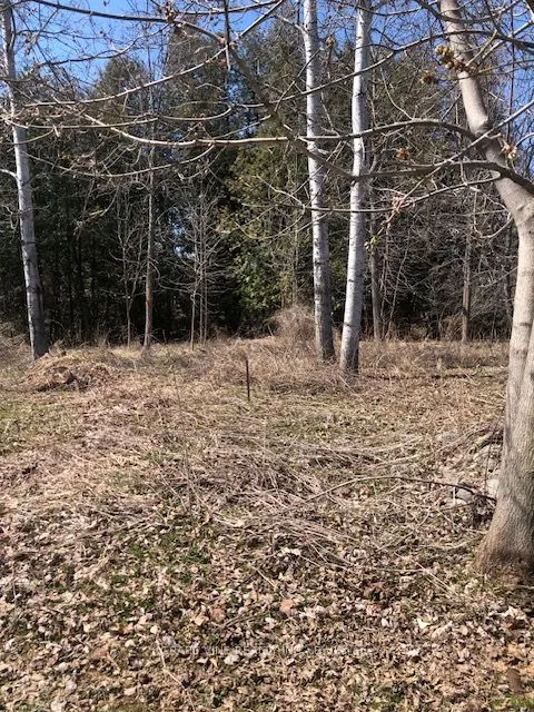 35A Cloverloft Court, ON K2S 1T3