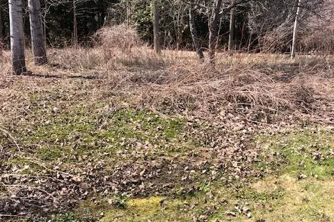 35A Cloverloft Court, ON K2S 1T3