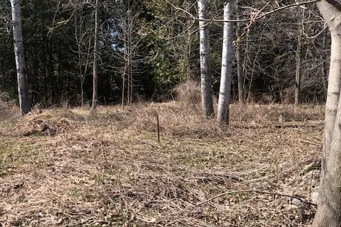 35A Cloverloft Court, ON K2S 1T3