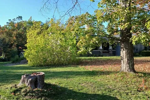 49 Clifton Street, ON K0M 1N0