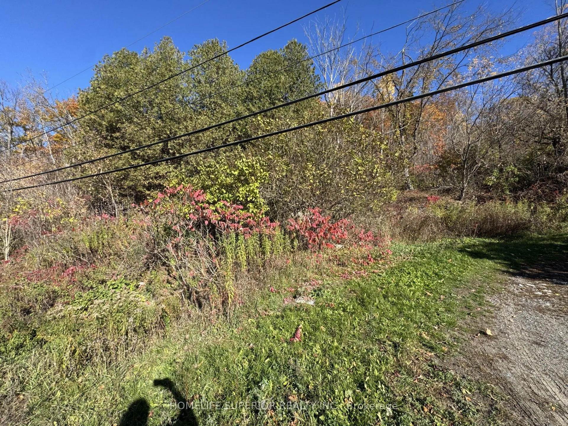 58 Main Street, ON K0K 2M0