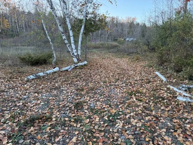 PT LT 20 FIRE ROUTE 121 N/A, ON K0M 1A0