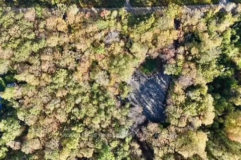 1394 Bartlett Lake Road, ON P0A 1Y0