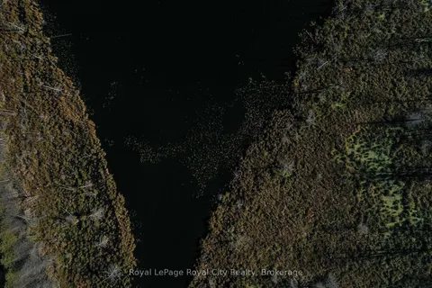 6361 16th Line, ON N0G 1M0